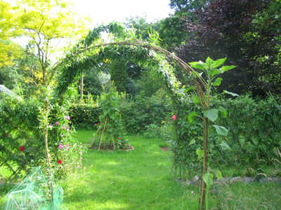 Looking through the willow Arch July08