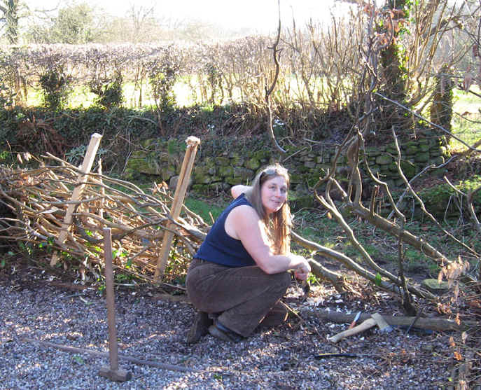 Hedge Laying